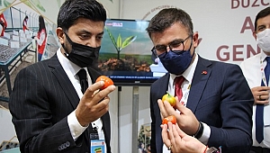 ATA TOHUMLARINI ANKARA'DA TANITTILAR