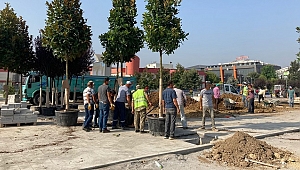 KENT ESTETİĞİ PROJESİNDE AĞAÇ DİKİMİNE BAŞLANDI
