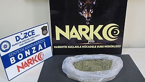 DÜZCE'DE BONZAİ OPERASYONU 