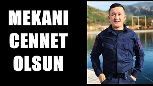 KAZAYLA BAŞINDAN VURULDU