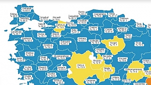 MAVİ SEVİNÇ!