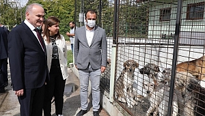 ÖZLÜ, AK PARTİ BAŞKAN YARDIMCILARINI AĞIRLADI
