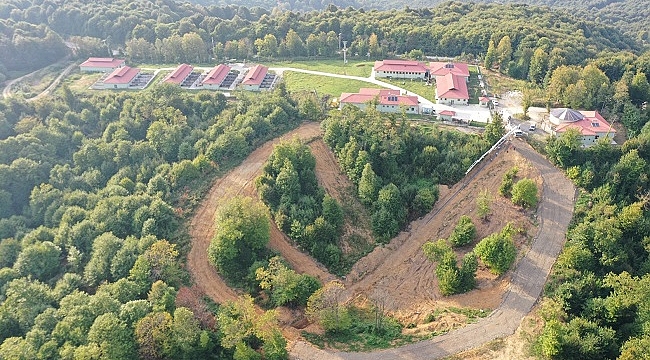 SOKAK HAYVANLARINA DOĞAL YAŞAM ALANI