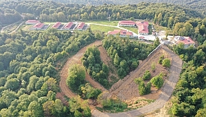 SOKAK HAYVANLARINA DOĞAL YAŞAM ALANI