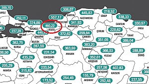 DÜZCE KÖTÜYE GİDİYOR!