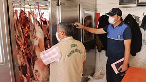 ZABITA HALK SAĞLIĞI İÇİN DENETİMDE