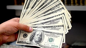 DOLAR 11 LİRAYI GÖRDÜ