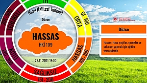 KIŞ GELDİ, DÜZCE'NİN HAVASI YİNE BOZULDU!