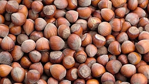 TMO MEYDANI FERRERO'YA BIRAKTI!