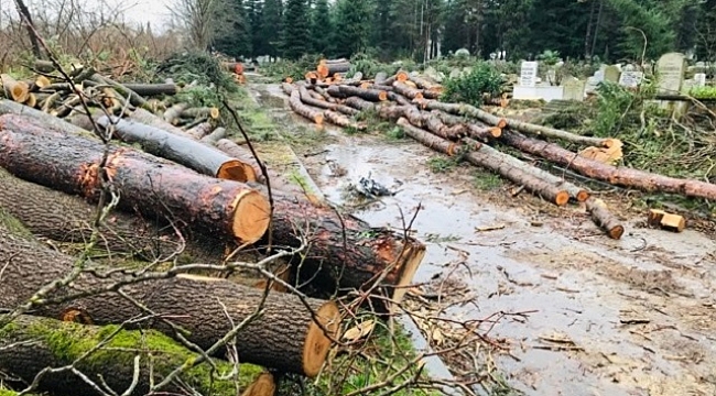 ŞEHİR MEZARLIĞINDA YÜREK BURKAN GÖRÜNTÜLER