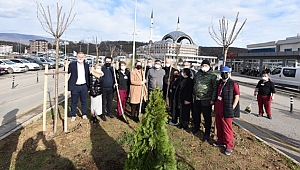 DÜZCE ÜNİVERSİTESİ HASTANESİ DAHA YEŞİL VE ESTETİK ÇEHREYE KAVUŞUYOR