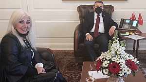 HAYVANSEVERLER VALİ ATAY'DAN UMUTLU