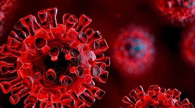 KORONAVİRÜSTE VAKA REKORU KIRILDI: 66.467