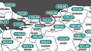 DÜZCE'DE KORONAVİRÜS VAKA ARTIŞI DURAKSADI
