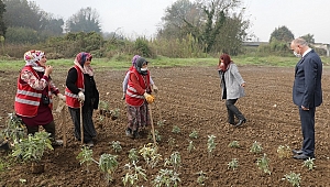 ÖZLÜ: KADINLARIMIZ BİZİM İÇİN ÇOK KIYMETLİ
