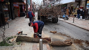 SÜTTEN AĞZI YANAN BELEDİYE DOĞRU YÖNTEMİ BULDU