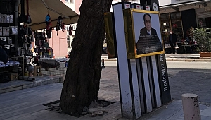 YAŞLI VE TEHLİKELİ AĞAÇLAR KALDIRILIYOR