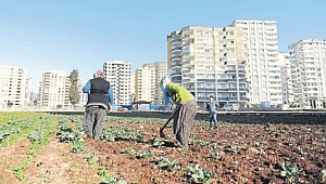 AFAD'A GÖRE TARIM ARAZİLERİNİN YAPILAŞMAYA AÇILMASI YANLIŞ