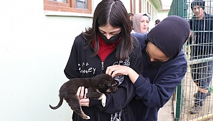 AFERİN ÇOCUKLAR