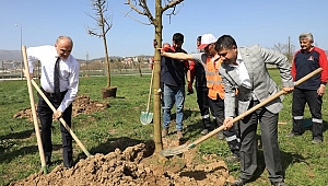 ÖZLÜ VE GÜNDEN FİDAN DİKTİ