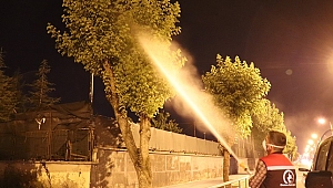 BEYAZ TIRTILLA MÜCADELE