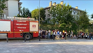 DÜZCE'DE SU KUYRUĞU