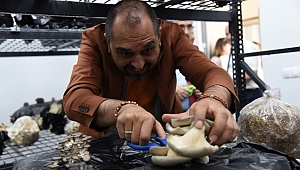 DÜZCE ÜNİVERSİTESİ’NDEN MANTAR ÜRETİMİNDE BİR İLK