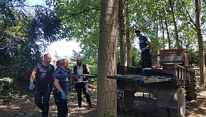 HIRSIZLAR SUÇÜSTÜ YAKALANDI