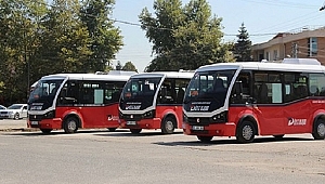 UĞUR BÖCEKLERİ TUTTU
