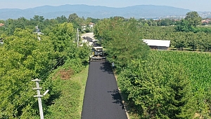 DÜZCE'NİN HER SOKAĞI ASFALTLANIYOR
