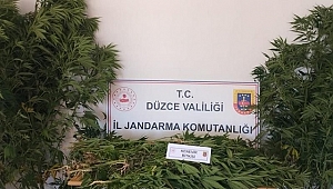JANDARMA YAKALADI