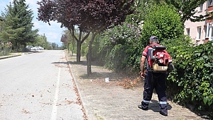 MAHALLEDE TEMİZLİK