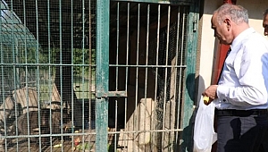 ÖZLÜ BALKIZ'I ZİYARET ETTİ