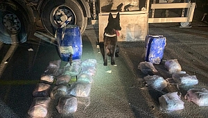 DÜZCE'DE 12 KİLO UYUŞTURUCU YAKALANDI