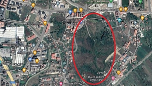 KONURALP'TAKİ ORMAN PARKININ İHALESİ DİKKAT ÇEKTİ!