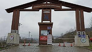 EFOR FİRMASI İŞİ BIRAKTI, BELEDİYE DEVRALDI