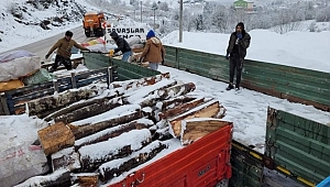 YIĞILCALI GENÇLER DEPREM BÖLGESİNE YAKACAK ODUN GÖNDERDİLER