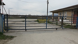 ŞAP ALARMI