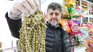 BAMYA ALTINLA YARIŞIYOR
