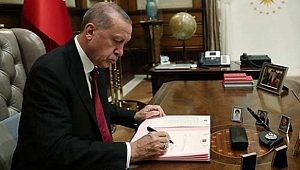 'BAKANI' OLMAYAN DÜZCE'YE YARDIMCILIK DA YOK!