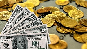 DOLAR VE ALTINDA YENİ REKOR
