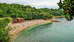 DÜZCE TURİZMDE YERİNDE SAYIYOR