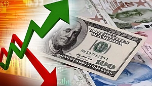 FAİZ BEKLENTİNİN ALTINDA ARTTI, DOLAR REKOR KIRDI