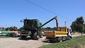 BUĞDAY HASADI YAPILDI