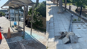 BUNLARI SOKAK HAYVANLARI BİLE YAPMAZ!