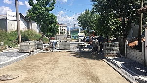 DÜZCE FEN İŞLERİ HARIL HARIL