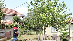 DÜZCE'Yİ SİNEKLER İSTİLA ETTİ, BELEDİYE MÜCADELE BAŞLATTI