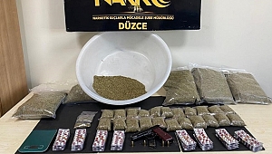 DÜZCE'DE 6 KİLO BONZAİ YAKALANDI