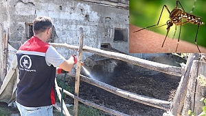 DÜZCE'Yİ SİVRİSİNEKLER BASTI