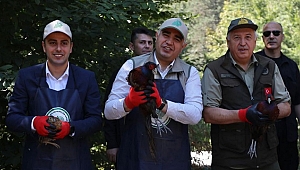KORUGÖL'DE DOĞAYA SÜLÜN BIRAKILDI